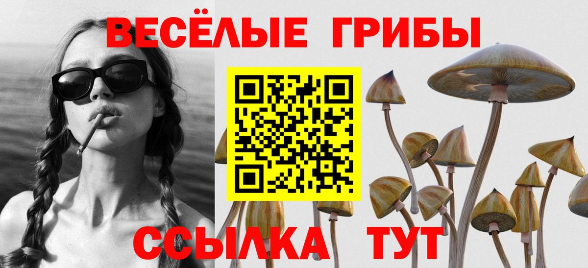Коммунар  Галлюциногенные грибы мицелий  Псилоцибиновые грибы Magic Shrooms  Вход с VPN 